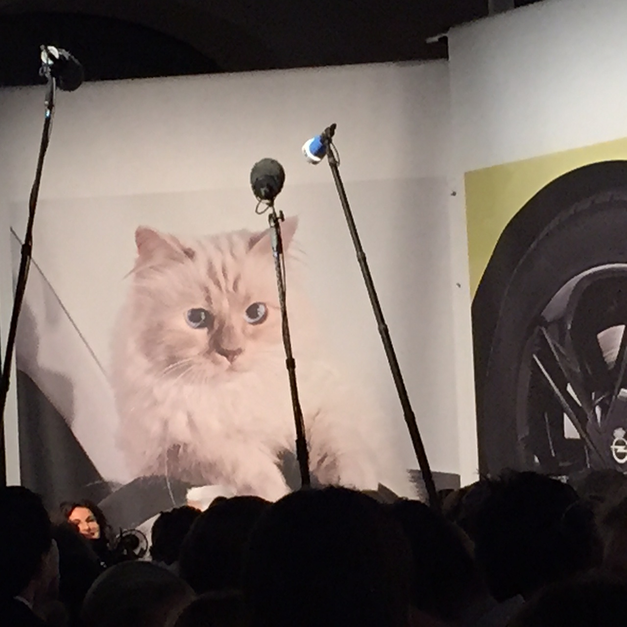Kann Karl Lagerfelds Katze „Choupette“ Opel retten?