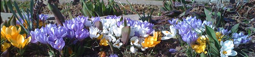 Ostern ohne Hase, Huhn, Ei und Lamm?