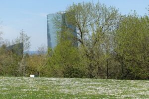 Warum es bei der Bargeldabschaffung um Freiheit geht