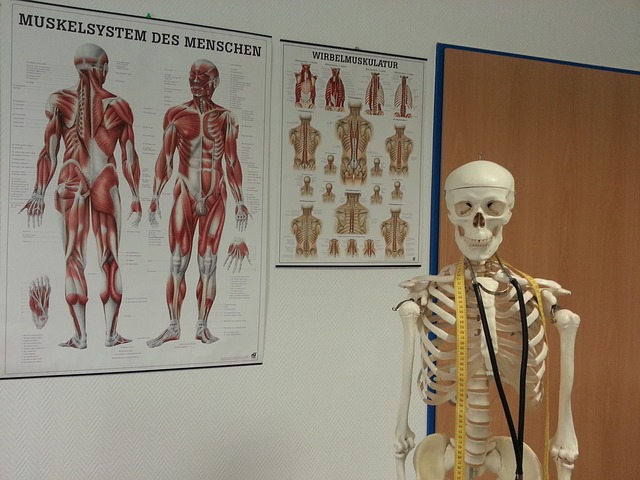 KC-Institut: mit Ergotherapie Schmerzfreiheit wiedergewinnen