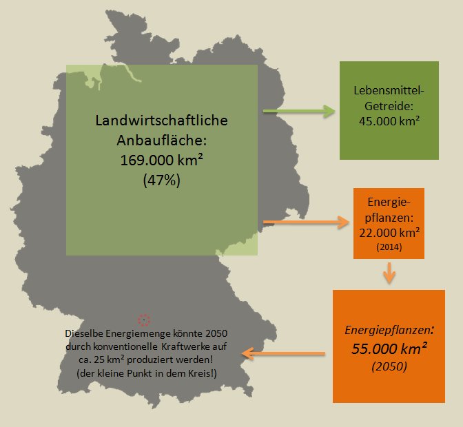 Energiepflanzen