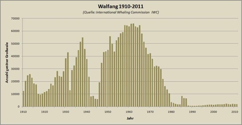 Walfang2