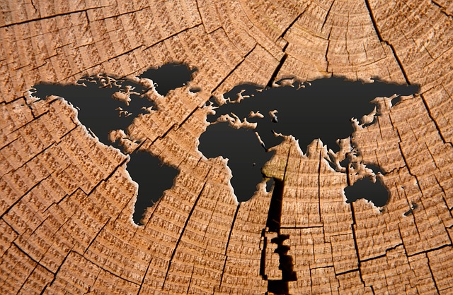 Natur und Kultur – warum wir das Fremde lieben und Migration trotzdem ein Problem ist