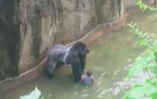 Wenn Menschenfeinde sich als Tierschützer gebärden