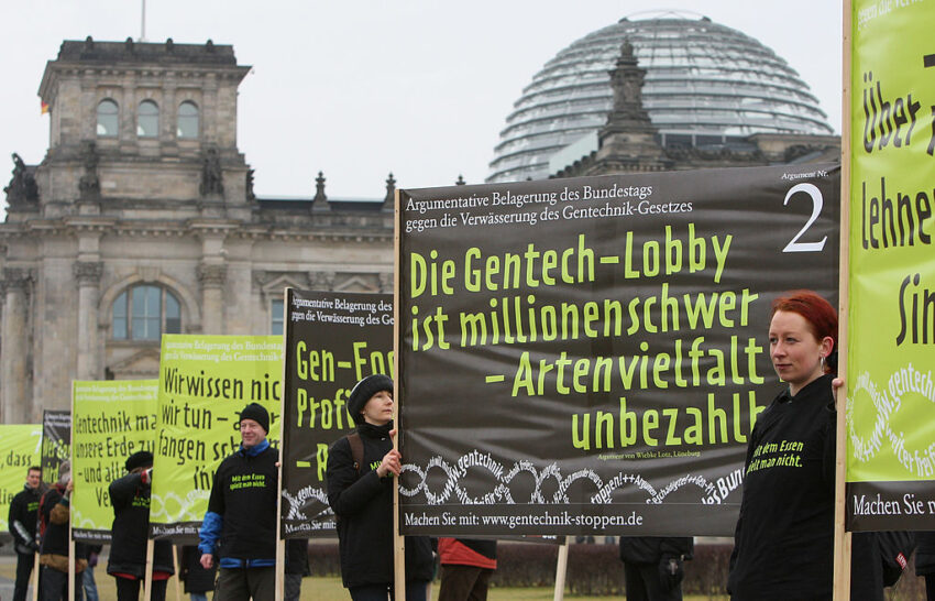 Goldener Reis: Wissenschaftler gegen Greenpeace Boykott