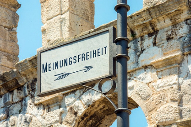 Leben die Deutschen in einer „Schein-Demokratie“? 31 Prozent sagen: Ja