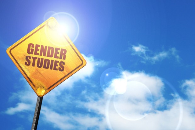 Gender Studies – Jobwunder für Genderisten oder überflüssig wie ein Kropf?