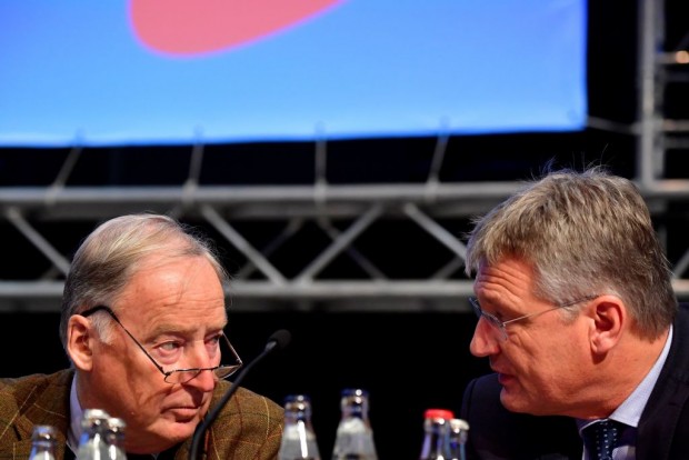 AfD-Parteitag: Ein gäriger Haufen – doch wohin gärt er?
