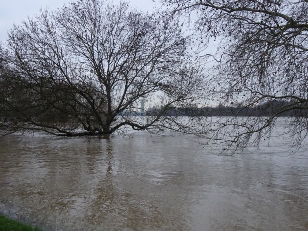 Hoch-Wasser: Flüsse und Bäche lassen sich nicht einsperren