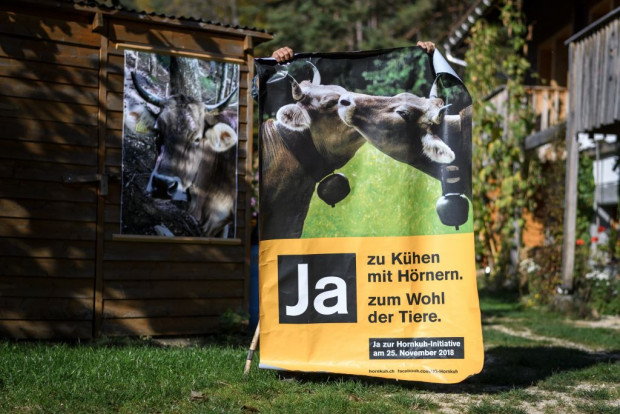 Es wird gewählt und abgestimmt
