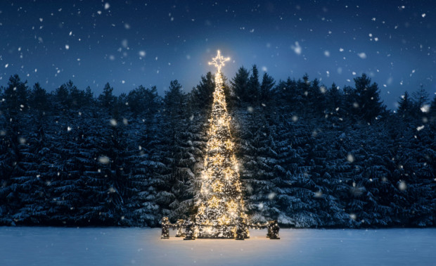 Wir wünschen Ihnen Frohe Weihnachten