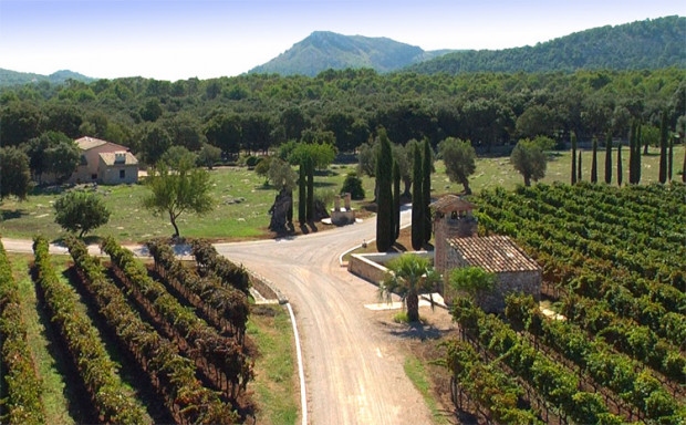 Wein aus Mallorca – aber “made in Germany”