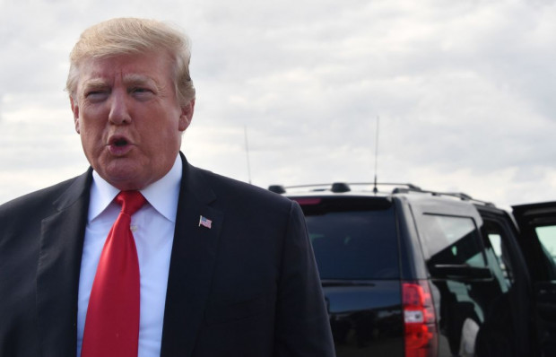 Donald und die Detektive