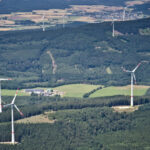„Lieber Wälder als Windräder“