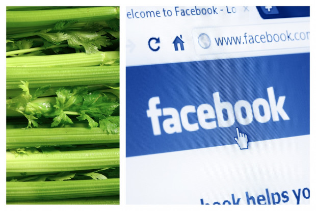 Facebook mag keinen Sellerie – und tilgt jeden, der widerspricht