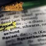 „Rasse“ raus aus dem Grundgesetz, „Anti-Rassismus“ rein?