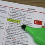 Duden nähert sich der Orwellschen „Neusprache“ an