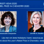 Nobelpreis für eine Gentechnik, die Europa nicht will
