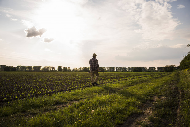 Bauer Willi über das Schuldbekenntnis eines Landwirts