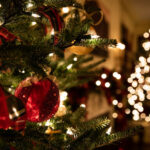 Die Deutschen vergessen, wann man den Christbaum aufstellt
