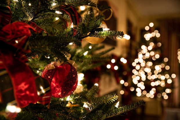 Die Deutschen vergessen, wann man den Christbaum aufstellt