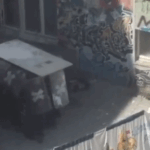 Rigaer94: Die Polizei muss in Schildkrötenformation anrücken
