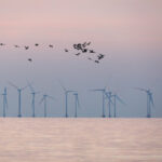 Windparks werfen Windschatten – Effizienverluste für Offshore-Anlagen zu erwarten