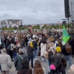 Fridays for Future als Festival – mit Antifa und Enteignungsforderung