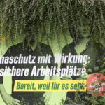 Die Steuersünder-Denunziation als Probelauf für weitere Bereiche
