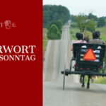 Die Amish-Mennoniten und das Covid-Experiment
