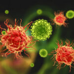Die Waffen des Immunsystems