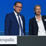 Chrupalla behauptet sich an AfD-Spitze – Weidel zur Co-Chefin gewählt