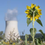 Die Grünen stellen sich ihr eigenes Gutachten gegen den Weiterbetrieb der Atomkraft aus