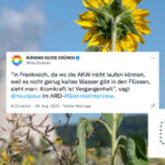 Grüne und Atomkraft: Mit dem Ausblenden von Antworten Kurs halten