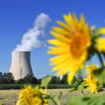 Bleibt die Atomkraft, droht den Grünen die Kernschmelze