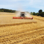 Das Großunternehmen Ernte ist fast abgeschlossen – noch einmal mit gutem Ertrag