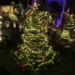 Die Abscheu der Grünen gegen das Weihnachtsfest