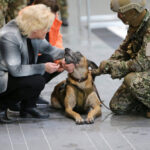 Erste Projekte gestrichen: Es geht nichts voran in der Bundeswehr