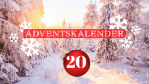 Die Schneeflocke – Symbol für den Winter