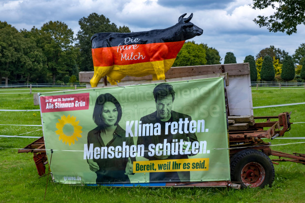 Liegt in Grün die Hoffnung auf eine bessere Welt?