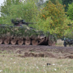 Angekündigtes Desaster: Der peinliche Puma und der uralte Marder