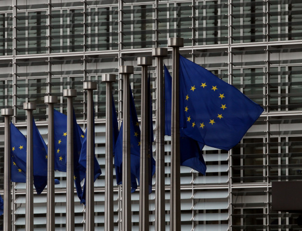 EU-Staaten billigen Verordnung gegen Entwaldung