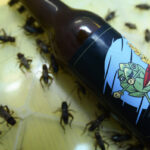 Warum Insekten im Bier? Supermarktketten zur neuen EU-Ekel-Ess-Verordnung