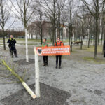 Polizei schaut zu, während die „Letzte Generation“ vor dem Kanzleramt einen Baum fällt