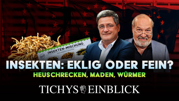 Insekten: Ekelessen oder Feinkost?