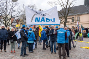 Grüne NGOs sperren sich gegen Transparenz