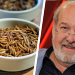 „Die EU will, dass wir Insekten essen“