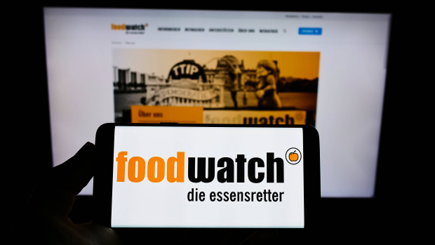 „Nichtregierungsorganisationen“ (NGO), die wie Regierungsorganisationen agieren