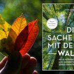 Was Sie schon immer über den Wald wissen wollten …
