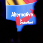 „Solidarität“ ist ein wichtiger Grund für den Aufstieg der AfD